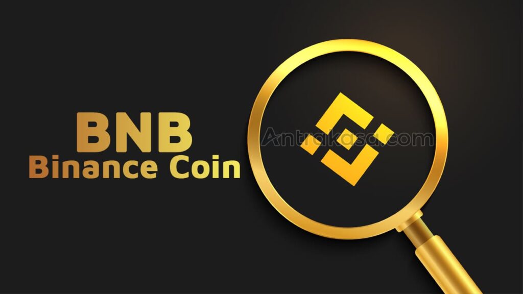 10 Fakta Tentang Binance Coin (BNB)