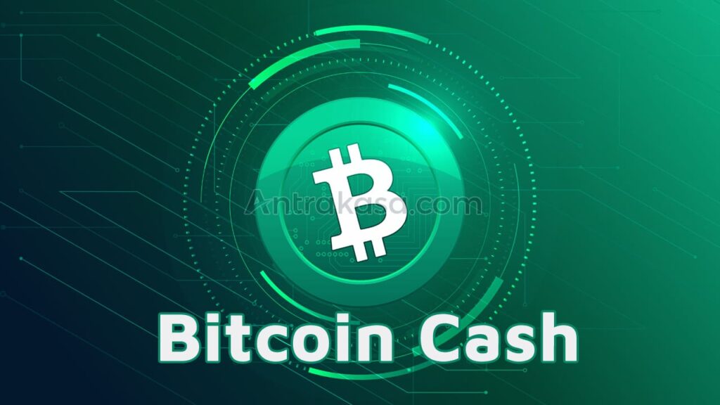 Bitcoin Cash: Mata Uang Kripto Baru yang Semakin Populer