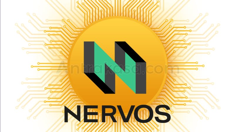 Nervos Network: Solusi Inovatif Blockchain untuk DeFi