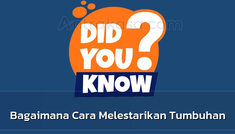 Bagaimana Cara Melestarikan Tumbuhan