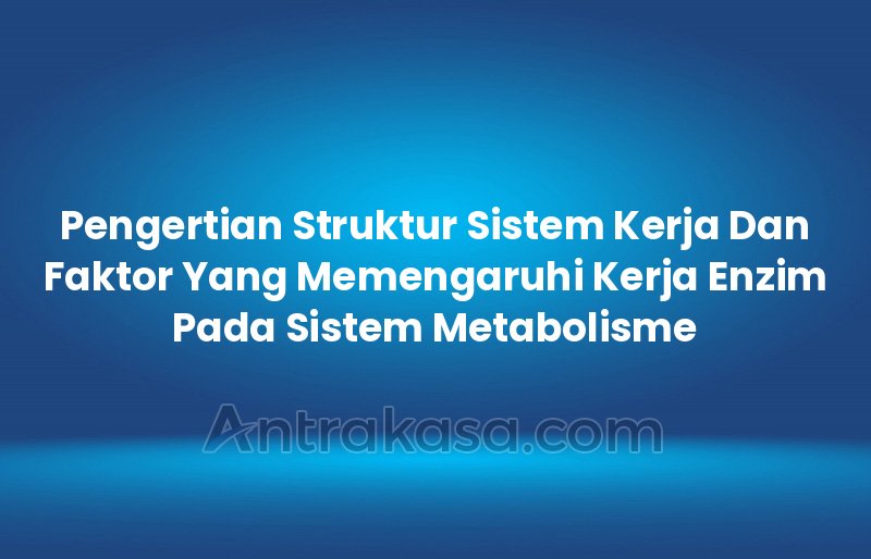 Pengertian Struktur Sistem Kerja Dan Faktor Yang Memengaruhi Kerja Enzim Pada Sistem Metabolisme
